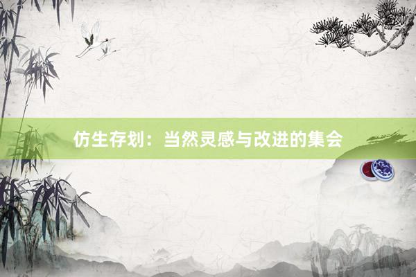 仿生存划：当然灵感与改进的集会