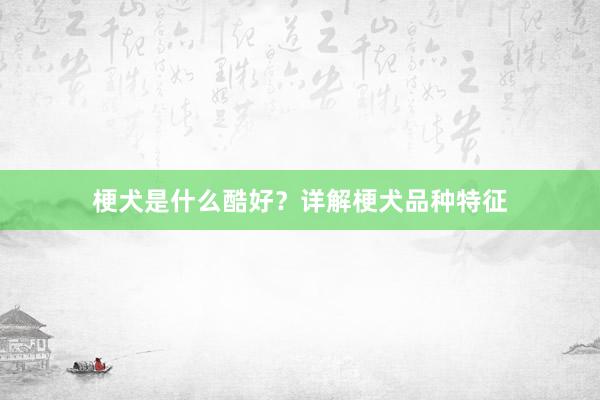梗犬是什么酷好？详解梗犬品种特征