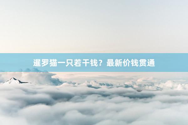 暹罗猫一只若干钱？最新价钱贯通